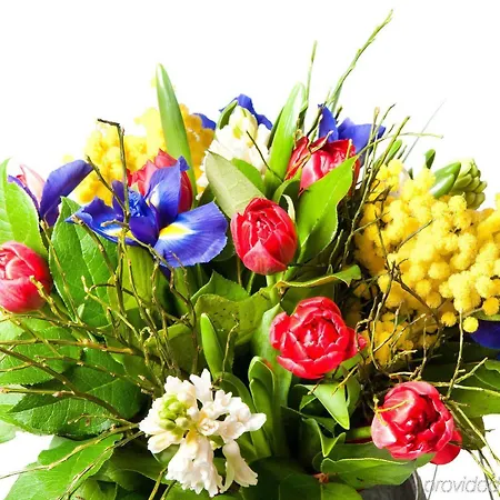 Attimo Stuttgart***s Hotel 3*