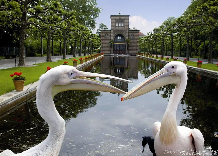 阿提莫斯图加特*** S酒店 酒店 3*