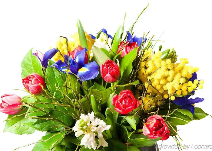 阿提莫斯图加特*** S酒店 酒店 3*